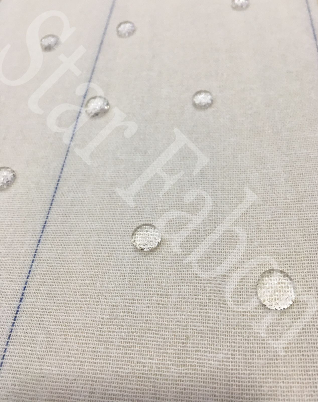 WhatsApp Image 2024-10-03 at 3.43.58 AM (1)