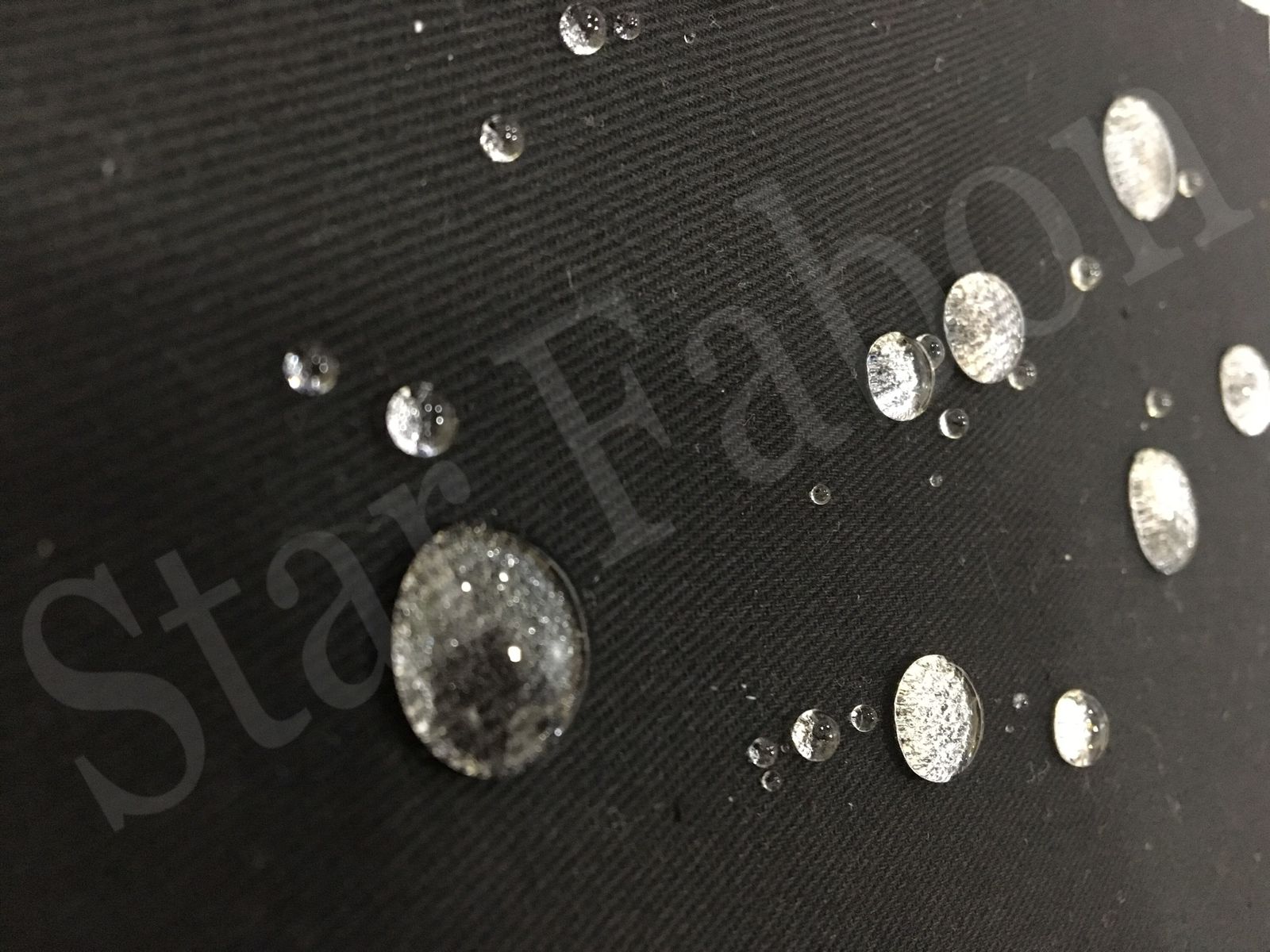 WhatsApp Image 2024-10-03 at 3.43.59 AM (1)